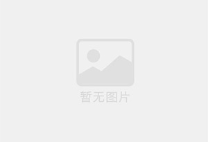 肉类油炸设备